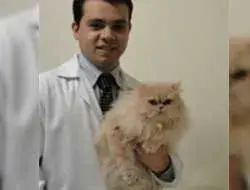 Cardiologia Veterinária na Aclimação