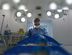 Cirurgia veterinária no centro de SP